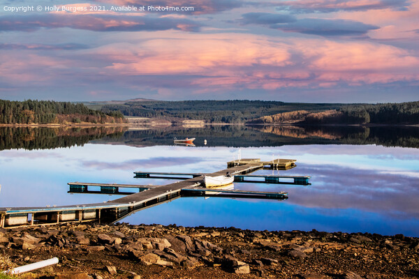 kielder Forest, biggest man made lake in England  Picture Board by Holly Burgess