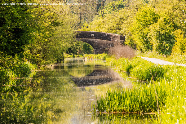 Derbyshire Canal, Erewash lovey walk down the canal with a reflections from the bridge Picture Board by Holly Burgess
