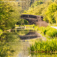 Buy canvas prints of Derbyshire Canal, Erewash lovey walk down the canal with a reflections from the bridge by Holly Burgess
