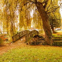 Buy canvas prints of Autumn day in the park golden willow with a small bridge  by Holly Burgess