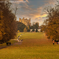 Buy canvas prints of Autumn's Golden Embrace at Wollaton Park by Holly Burgess