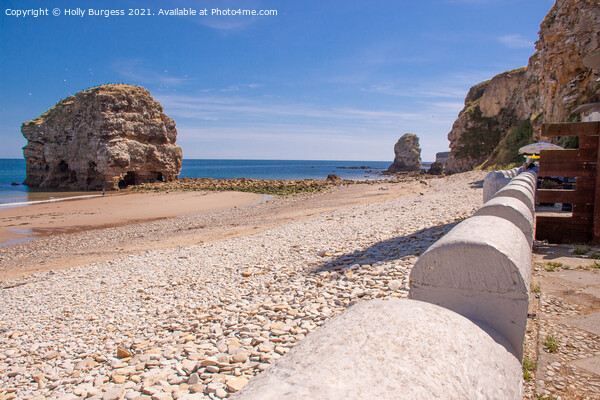 Marsden Bay, where once was a path from the road to the rock in the sea Picture Board by Holly Burgess