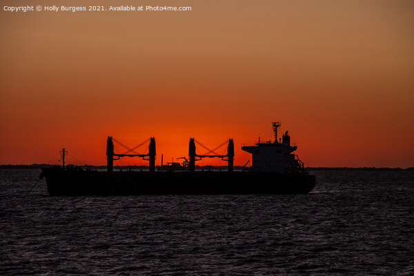 Sun setting on River Plata South America shipping canal  Picture Board by Holly Burgess