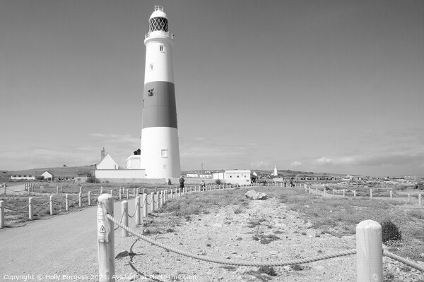 Portland Bill taken black and white area of Dorset land mark still working  Picture Board by Holly Burgess