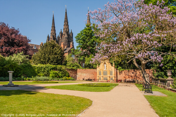 Lichfield Cathedral, only Cathedral with three spires  Picture Board by Holly Burgess