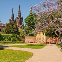 Buy canvas prints of Lichfield Cathedral, only Cathedral with three spires  by Holly Burgess