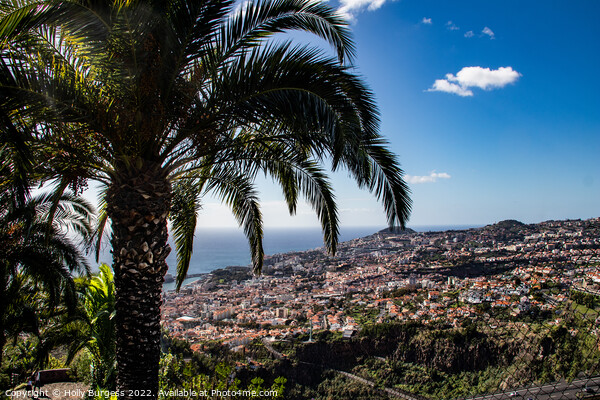 Enigmatic Panorama of Madeira Island Picture Board by Holly Burgess