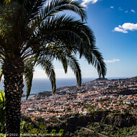 Buy canvas prints of Enigmatic Panorama of Madeira Island by Holly Burgess