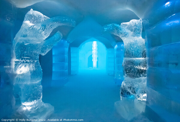 Ice hotel Alta Norway Picture Board by Holly Burgess