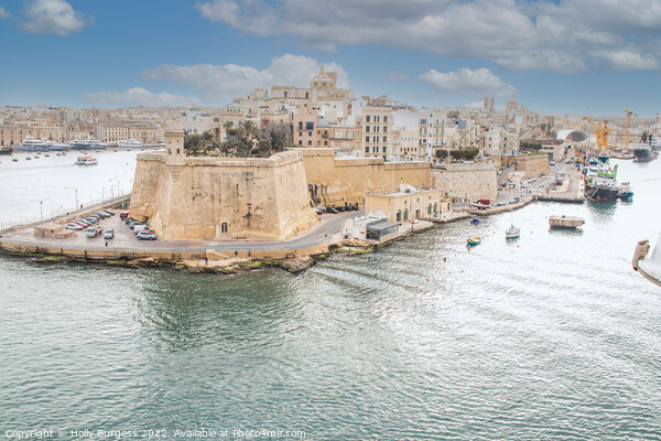 Malta's Historic Panoramic View Picture Board by Holly Burgess