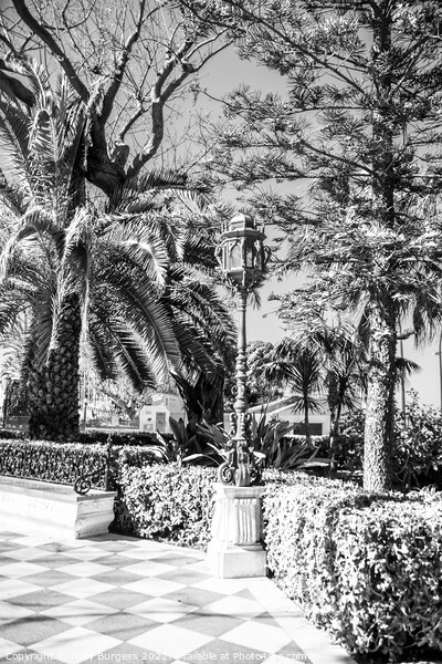 Black and White, Park in Cadiz, metal lamppost decorates the area many scattered around the island  Picture Board by Holly Burgess
