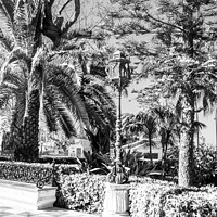 Buy canvas prints of Black and White, Park in Cadiz, metal lamppost decorates the area many scattered around the island  by Holly Burgess