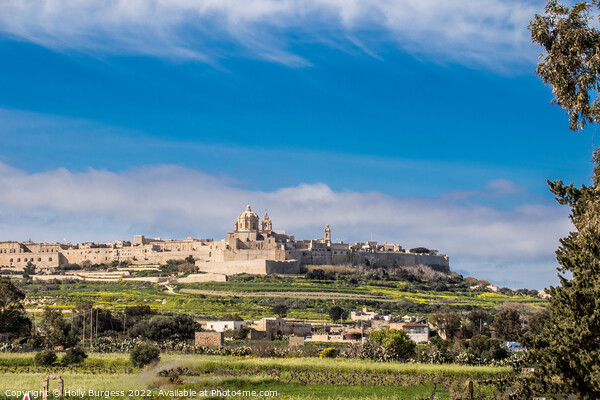 Malta's Ancient Citadel: Mdina Picture Board by Holly Burgess