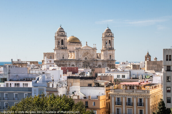'Historical Cadiz Cathedral: A Skyline Masterpiece Picture Board by Holly Burgess