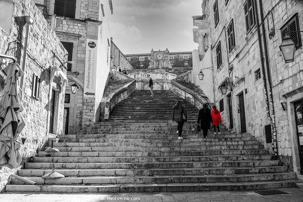 Echoes of Baroque Grandeur: Dubrovnik's Jesuit Sta Picture Board by Holly Burgess