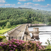 Buy canvas prints of Lady-bowers Dam over the plug holes,  by Holly Burgess