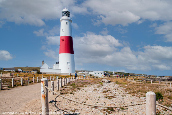 Portland Bill Lighthouse: Dorset's Beacon Picture Board by Holly Burgess