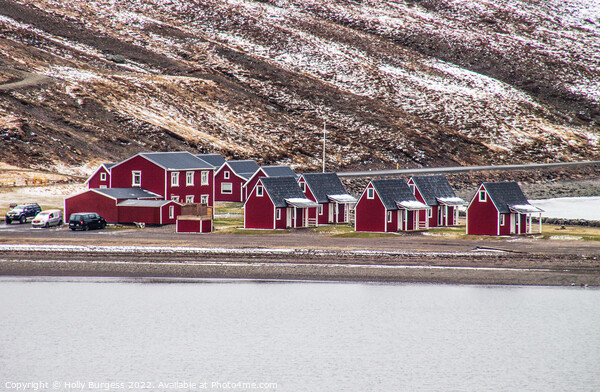 Eskifjorour, Iceland, most houses with red roofs mountains in the back ground,  Picture Board by Holly Burgess