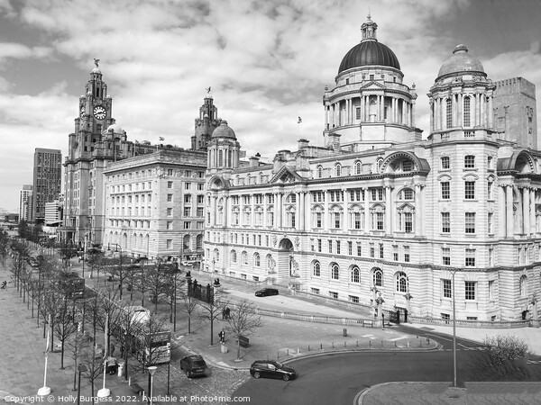 liverpool buidling The Three Graces of the world  Picture Board by Holly Burgess