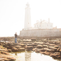 Buy canvas prints of Illuminated Morning: St Marys Lighthouse in Fog by Holly Burgess