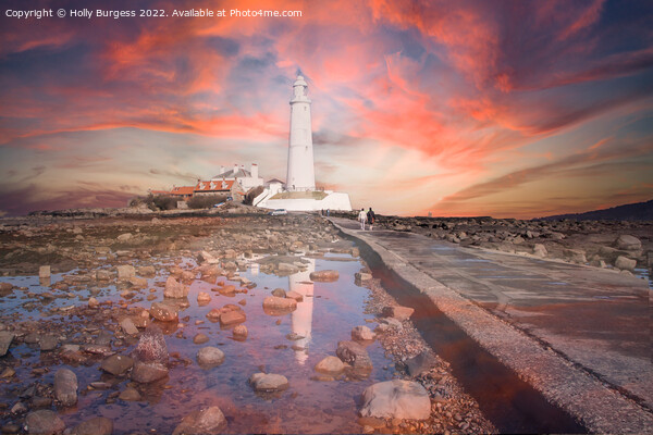 Dusk's Embrace: St Mary's Lighthouse Picture Board by Holly Burgess