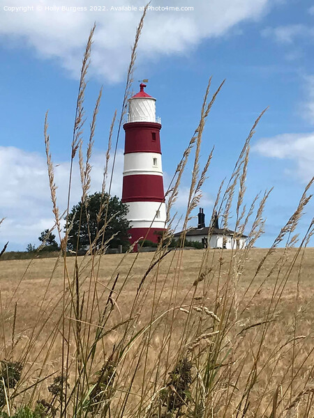 Historic Happisburgh Lighthouse: East Anglia's Bea Picture Board by Holly Burgess