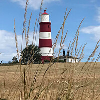 Buy canvas prints of Historic Happisburgh Lighthouse: East Anglia's Bea by Holly Burgess