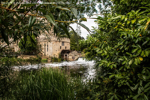 Warwick Castle's Historic Engine House: A Tale of  Picture Board by Holly Burgess