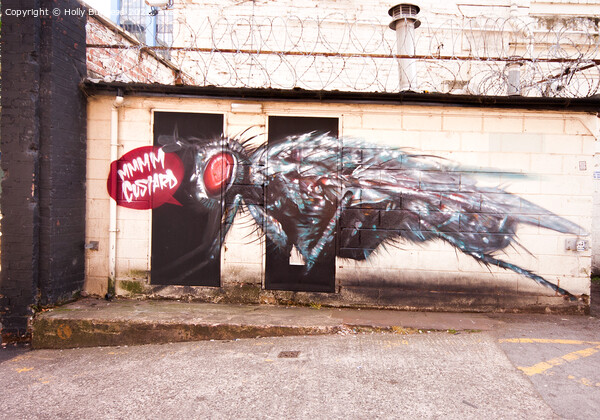 Captivating Graffiti Odyssey: Birmingham's Custard Picture Board by Holly Burgess