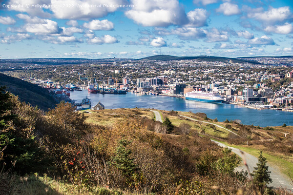 St. John's, Newfoundland and Labrador, situated on Signal Hill. over looking the town  Picture Board by Holly Burgess