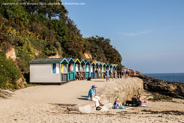 'Charming Chalets of Falmouth Beach' Picture Board by Holly Burgess