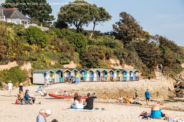 Falmouth Beach's Idyllic Family Retreat Picture Board by Holly Burgess