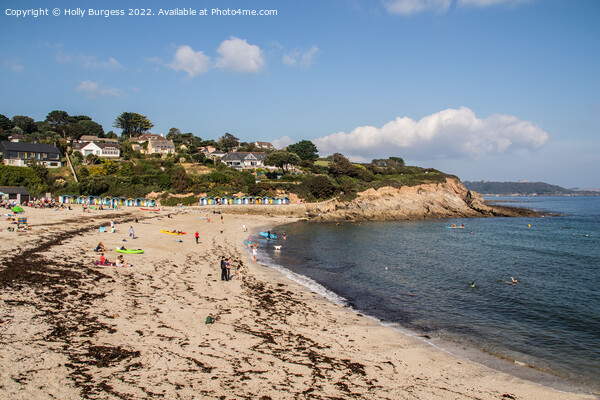 Falmouth Shoreline: A Summer's Serenity Picture Board by Holly Burgess