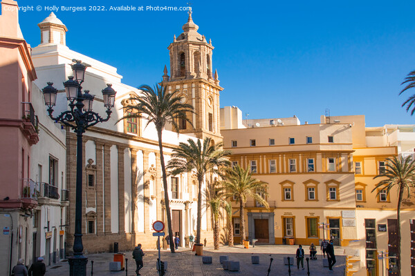 'Historic Cadiz Cathedral: Southern Spain's Jewel' Picture Board by Holly Burgess