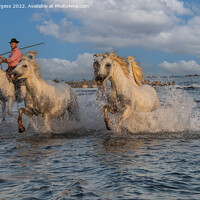 Buy canvas prints of 'Seaside Ballet of Camargue Equines' france  by Holly Burgess