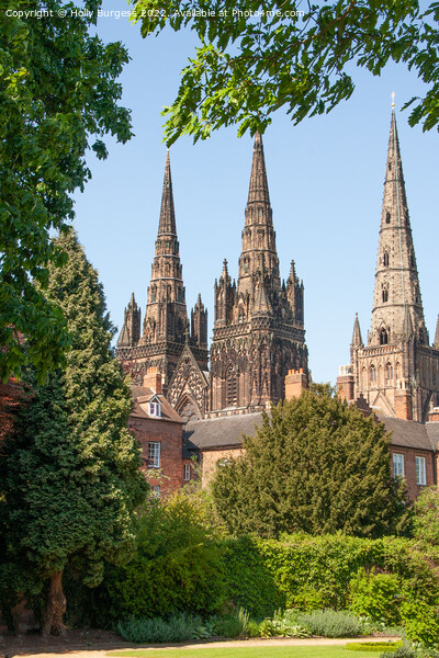 Tri-Spired Lichfield Cathedral: A Gothic Masterpie Picture Board by Holly Burgess