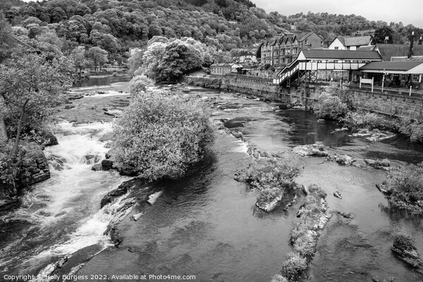 'Charming Llangollen: A Monochrome Perspective' Picture Board by Holly Burgess