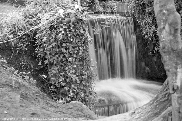 Monochrome Serenity: Newstead Abbey Waterfall Picture Board by Holly Burgess