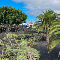 Buy canvas prints of The Jardín de Cactus is a cactus garden on the island of Lanzarote i by Holly Burgess