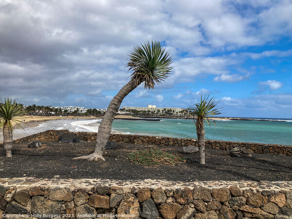 Tropical Serenity: Lanzarote's Wind-Kissed Coastli Picture Board by Holly Burgess