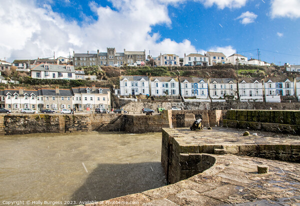 Porthleven, Britain's Southernmost Refuge Harbour Picture Board by Holly Burgess