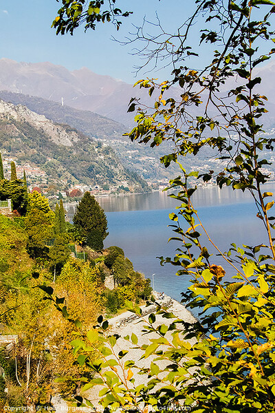 Italy's Depths Unveiled: Lake Como Picture Board by Holly Burgess