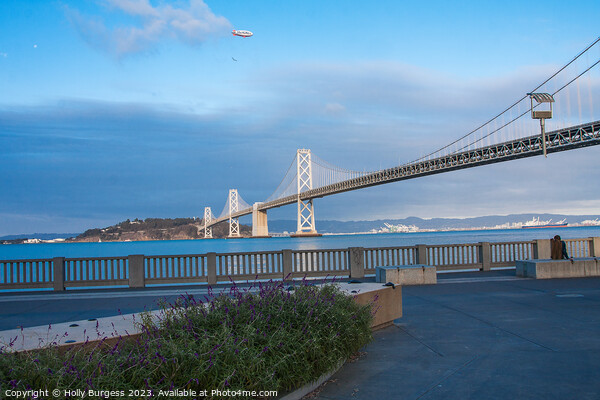 Bay bridge San Francisco USA   Picture Board by Holly Burgess