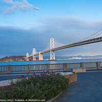 Buy canvas prints of Bay bridge San Francisco USA   by Holly Burgess