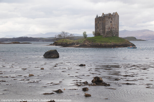 Castle Stalker on the route to Fort William Scotland  Picture Board by Holly Burgess