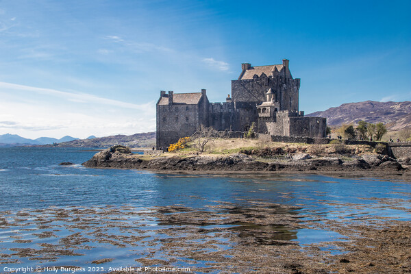 Enigmatic Eilean Donan: Scotland's Highland Enchan Picture Board by Holly Burgess