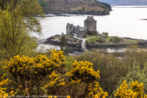 Eilean Castle Scotland on our trip on the 500 route  Picture Board by Holly Burgess