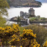 Buy canvas prints of Eilean Castle Scotland on our trip on the 500 route  by Holly Burgess