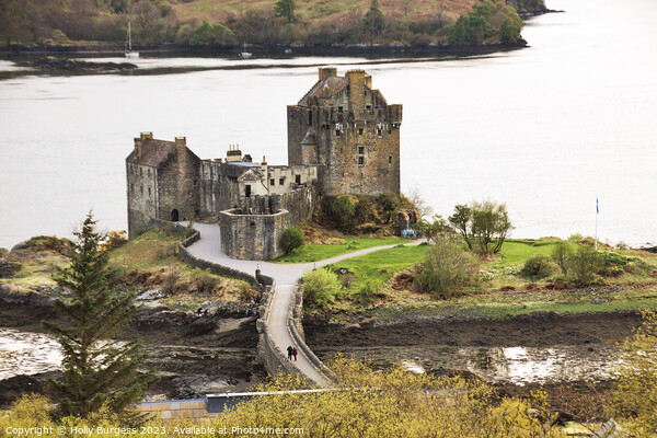 The Timeless Eilean Donan: Scotland's Island Fortr Picture Board by Holly Burgess