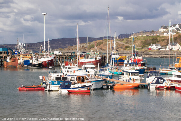 'Charming Mallaig: A Scottish Highland Haven' Picture Board by Holly Burgess